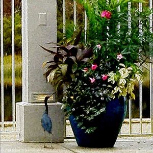 Meet your Posher, Tina